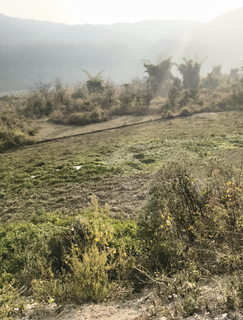 For lease: Exceptional 4,800 Square yard clear-title, river-adjoining land parcel in Jim Corbett National Park.