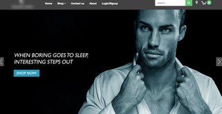 Building an aspirational men's fashion brand and selling it through own website and other domains.