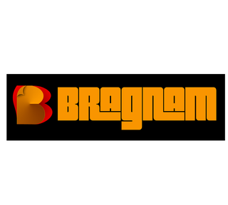 Bragnam, Established in 2013, 101 Franchisees, Zirakpur Headquartered