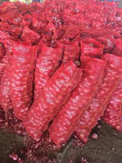 Company manufactures wheat flour and trades dry fruits, vegetables, grains seeks investment for expansion.