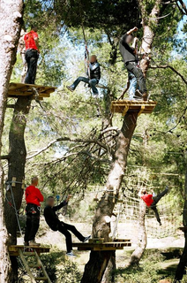 Highly profitable adventure & outdoor activity park for sale in Attica, Greece.