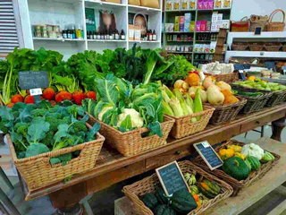 Established organic food business in Dubai with loyal customer base and diversified revenue streams.