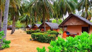 Beachfront resort in Kalpitiya offering cottages, seafood dining, and adventure experiences for guests, seeks investors.