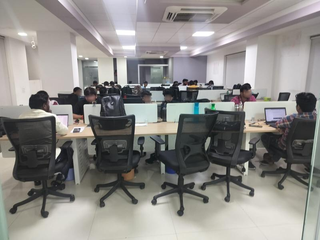 IT consultancy services specializing in low-code and no-code software services (Appian and Pega expertise).