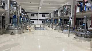 Acquire API manufacturing business with owned 80,000-litre facility serving pharmaceutical and cosmetic industries.