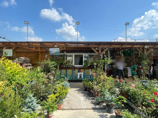 For sale: E-commerce platform and assets of a non-operational turnkey garden center in Moldova.