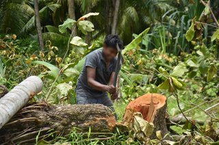 Profitable agricultural support business in Kaashidhoo, Maldives, Seeking loan to expand operations.