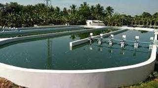 Newly established company seeks funds to develop a project for algae cultivation.