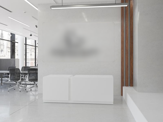 Fast-growing Bangalore-based immigration consultancy firm with 20+ clients seeks an investor.