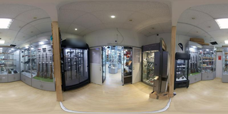 Berlin-based licensed weapons retailer with strong retail presence and online sales seeking investment or exit.