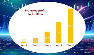 Start-up investment company in Seychelles that plans to set-up 10 subsidiaries across the world.