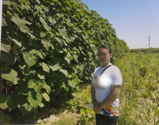 Agricultural start-up in Turkistan producing cellulose from renewable wood targeting global markets, seeks investment.