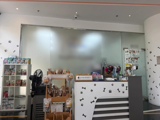 Full sale of established pet shop providing grooming and boarding services in Dubai.