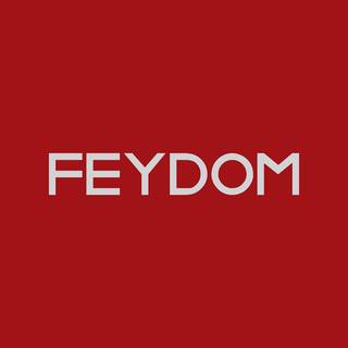 Feydom, 16 Franchisees, Est'd in 2022, Sofia HQ