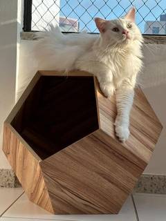 E-commerce platform for cat products seeking investment to expand operations, currently having 4,000 registered users.