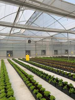 For Sale: Fully automated climate-controlled greenhouse along with the fertigation & irrigation system.