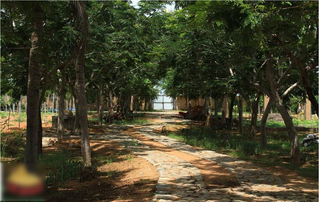 Pre-revenue retirement community aiming to offer secure housing services, seeks funding for Phase 2 development.