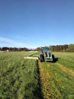 Profitable dairy farm with €269,000 profit seeks investment to expand and diversify its product line.