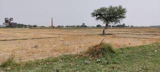 Large land parcel with two buildings near Lumbini, ideal for resort/hospitality investors and developers.