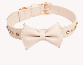 For sale: Non-operational pet care brand that manufactured dog collars and leashes.