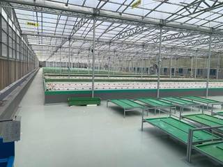 Non-operational second largest aquaponics facility in Southeast Asia seeking investment to restart operations.