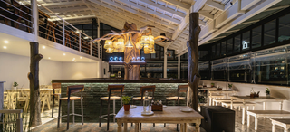 Well-established pub in Bangalore, offering a diverse range of drinks and food items.