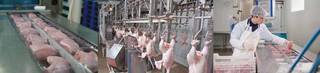 ISO 22000 certified meat processing unit working with a large number of retailers.