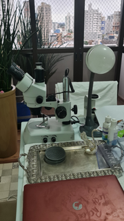 Seeking funding for a growing gem and diamond appraising business with 380 clients.