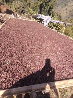 Delhi-based spice trading company seeks investment to expand B2B exports and compliance with international standards.