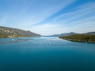 Scalable aquaculture business: 300 tons of seafood production capacity, operational assets, seeking buyer.
