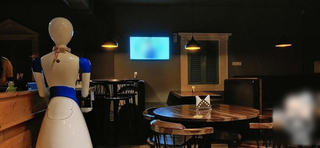 Fully equipped, 65 seater multi-cuisine restaurant with an Indian-made robot to serve the food.