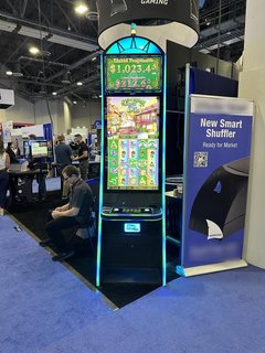 Slot machine manufacturer with patents, trademarks, and copyrights seeks seed capital investment.