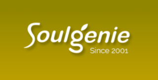 Soulgenie, 10 Sales Partners, Est'd in 2000, Noida HQ