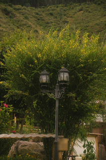Boutique eco-retreat in Peru's Sacred Valley with seven units, established operations, and significant expansion potential.