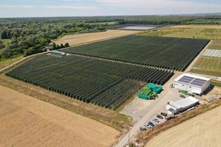 40 hectare fruit farm, B2B sales and 20 years of promoter experience for-sale in Osijek.