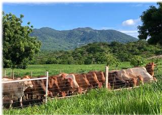 Premium farm-to-table food company producing and exporting packaged products across USA & Central America.