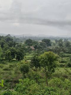 For Sale: 4-acre industrial plot near Jamshedpur with strategic access, and ready for immediate use.