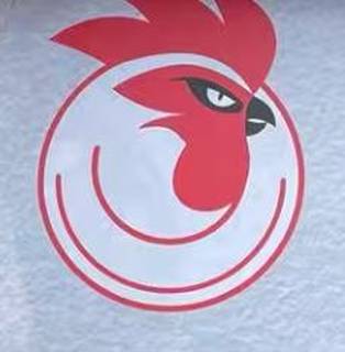 Fakth Chicken, 1 Franchisee, Est'd in 2020, Mumbai HQ