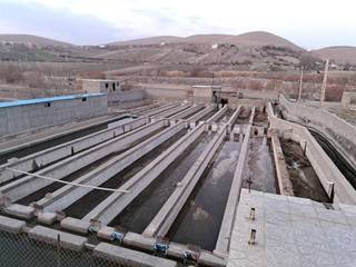 Acquire a licensed trout farming business exporting to Iraq and Russia with an owned facility.