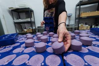 Ready-to-start natural haircare business including 7 solid shampoo formulas, solid and cream conditioner, hair oil.