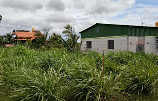 Producer of organic dairy products under own brand name and delivering to 2,000 home customers.