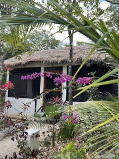 Beautiful eco-friendly resort in Akumal's jungle, offering 7 serene bungalows, nature experiences, and holistic retreats.