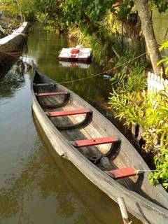 Non-operational resort business in Kumbalangi with resort infrastructure, waterfront access, and significant tourism development potential.