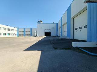 For Sale: Ukraine-based large and reputed cheese factory with a production capacity of 400 tons.