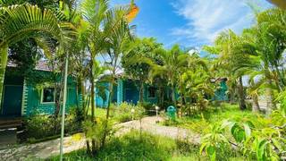 Well established jungle stay resort in Dandeli for sale with land and building.