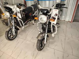 Regional electric vehicle sub-dealership with inventory, after-sales setup, and strong growth potential in North India.