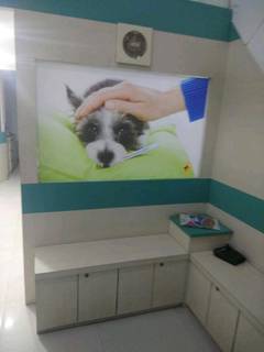 Pet treatment and healthcare service provider based out of Mumbai.