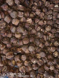 Our company is an exporter of agricultural products, such as gambier, betelnut, spice, and others.