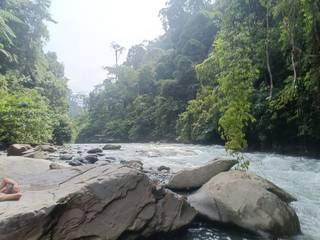 Authentic tourism experiences in Gunung Leuser National Park promoting environmental conservation & wildlife welfare.