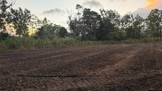 Arima-based pre-revenue agricultural venture cultivating hot peppers on 2 acres of leased farmland, seeks funding.